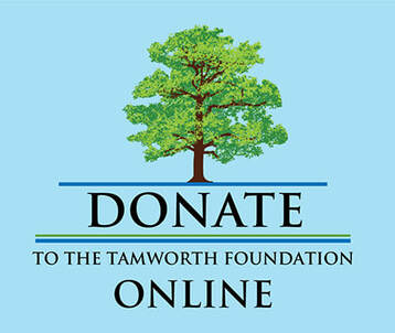 donate online button